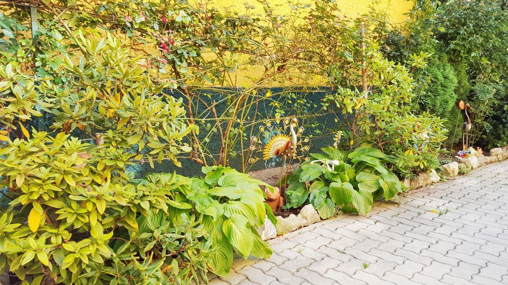 Gaestezimmer Wurm Mönchhof Exteriér fotografie